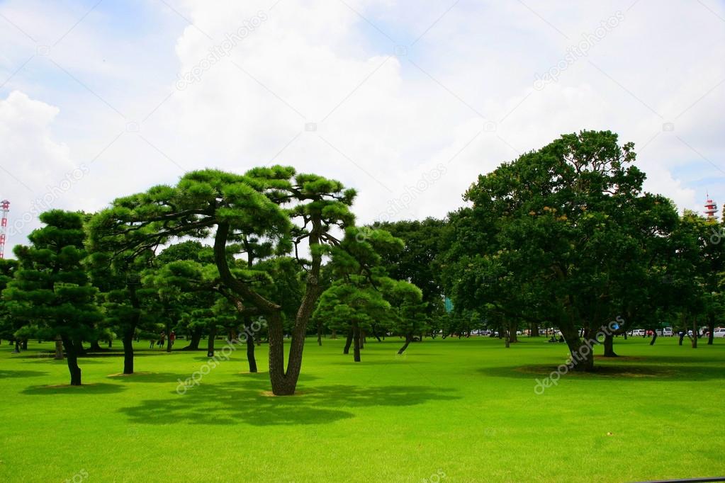 Tokyo, Japan, Huang Yuan Plaza lawn Nijubashi