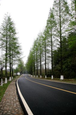 Çin yi İlçesi, anhui üç ağaçlar Otoban