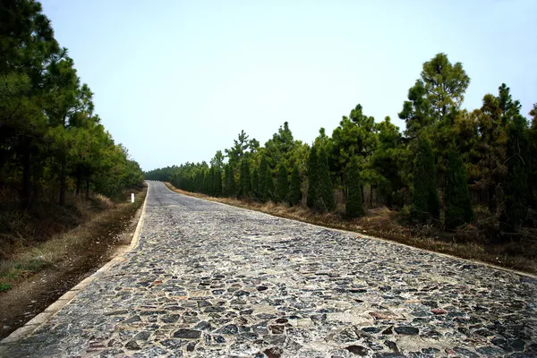 Anhui Dingyuan Bélgica camino de piedra coche de carretera Proving Ground — Foto de Stock