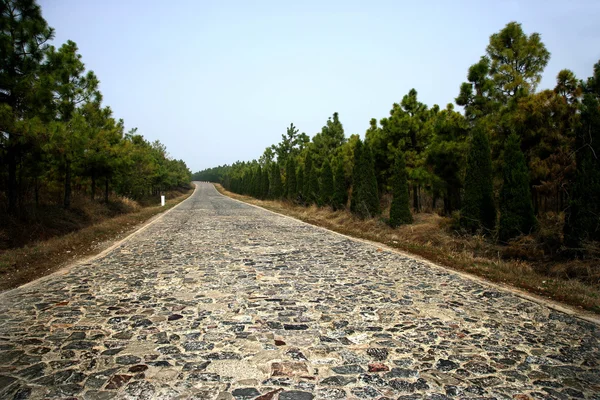 Anhui dingyuan Belçika taş yolu yol araba kanıtlanması ground — Stok fotoğraf