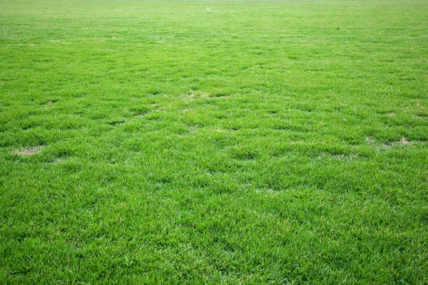 Čchung-čching olympijské sportovní centrum stadion trávník — Stock fotografie