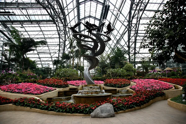 Jardín Botánico Chongqing Nanshan flores y plantas de invernadero —  Fotos de Stock