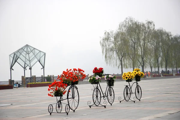 Nan'an distriktet Nanbin Park cykel abstrakt blommor flöten — Stockfoto