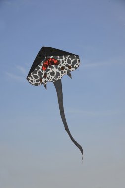 Uçurtma uçan mavi gökyüzü altında