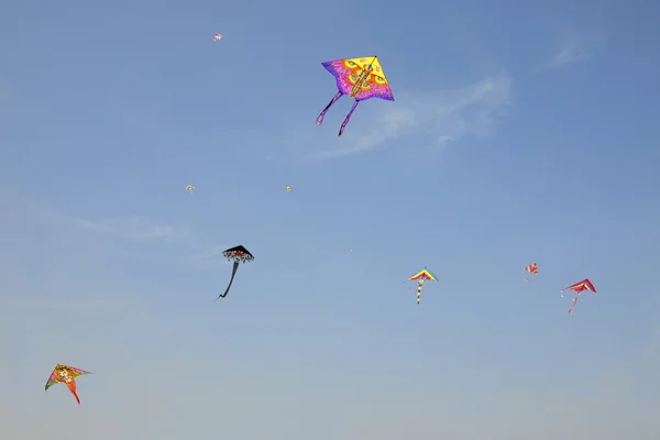 Sob o céu azul voando pipas — Fotografia de Stock