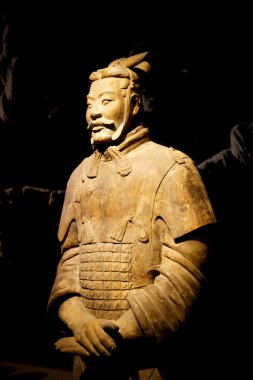 Xian qin terracotta savaşçıları ve qin terracotta savaşçıları ve atları Müzesi gösteri atların