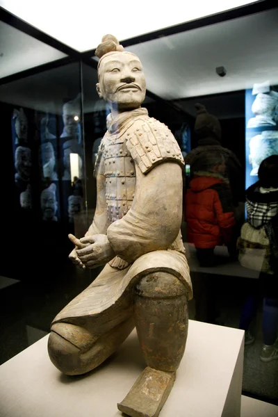 Xian qin terracotta savaşçıları ve qin terracotta savaşçıları ve atları Müzesi gösteri atların — Stok fotoğraf