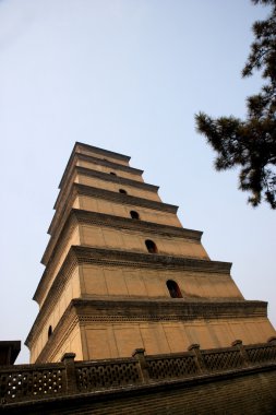 büyük vahşi kaz Pagodası, xi'an jionji