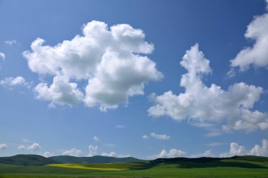 İç Moğolistan otlak keerqin