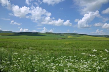 İç Moğolistan otlak keerqin