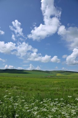 İç Moğolistan otlak keerqin