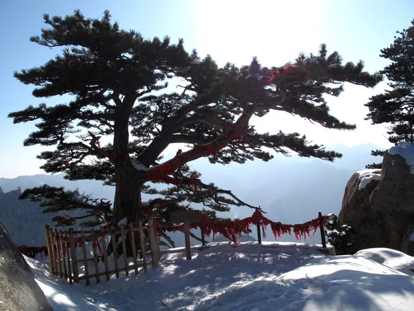 Huashan in shaanxi xifeng met uitzicht op pine — Stockfoto