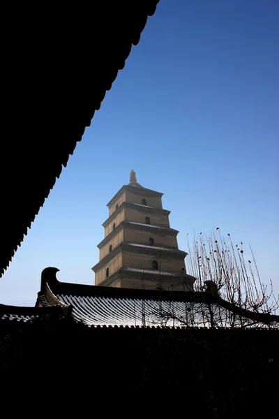 Big Wild Goose Pagoda, Xi'an Jionji — Stock Photo, Image