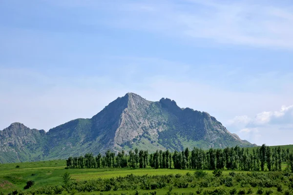 Binnen-Mongolië grasland keerqin de bergen — Stockfoto