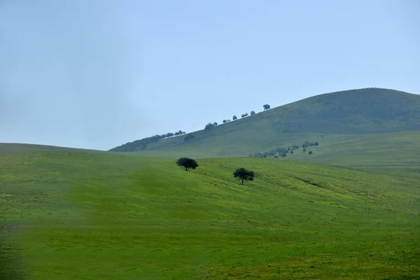 Binnen-Mongolië grasland keerqin — Stockfoto