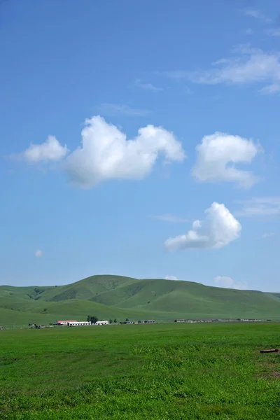 Pastizales interiores de Mongolia Keerqin — Foto de Stock