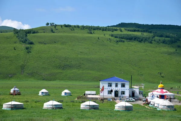 Pastizales interiores de Mongolia Keerqin —  Fotos de Stock