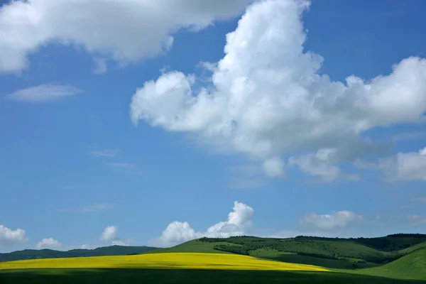 Vnitřní Mongolsko louky keerqin — Stock fotografie