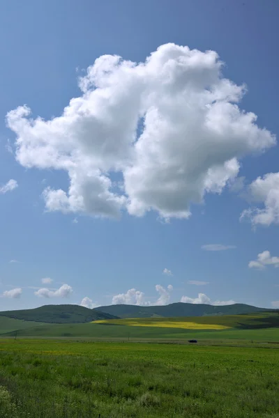 Vnitřní Mongolsko louky keerqin — Stock fotografie