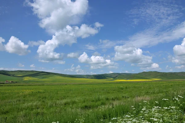 Binnen-Mongolië grasland keerqin — Stockfoto