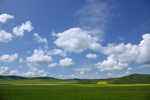 Inner Mongolia grassland Keerqin — Stock Photo, Image