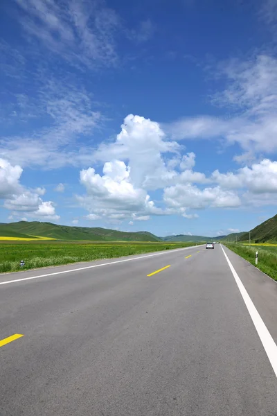 Innere Mongolei Grasland keerqin highway — Stockfoto