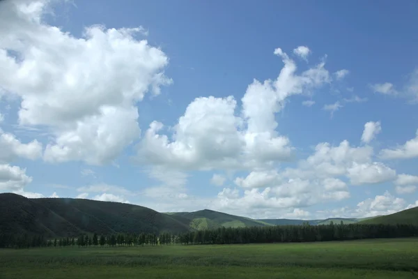 Keerqin użytków zielonych w Mongolii wewnętrznej — Zdjęcie stockowe