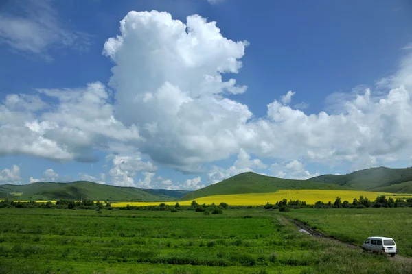 Vnitřní Mongolsko louky keerqin kvetoucí řepky květ — Stock fotografie