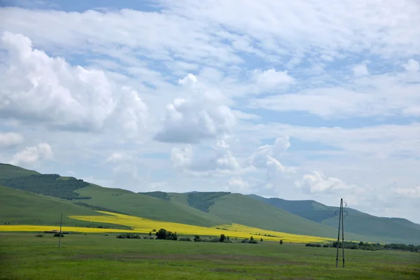 Pátios da Mongólia Interior Keerqin flor de canola florescendo — Fotografia de Stock