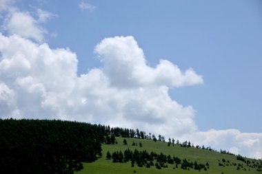 Aer Inner Mongolia hulunbeier otlakların