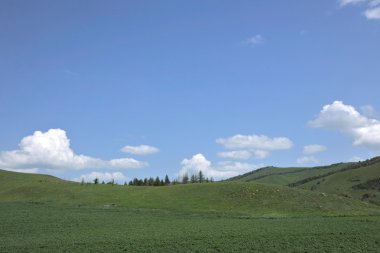 Aer Inner Mongolia hulunbeier otlakların