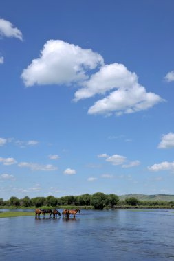 İç Moğolistan hulunbeier ewenki bayrak Yimin'e nehir gunma içme.