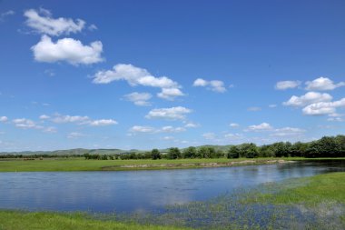 İç Moğolistan hulunbeier ewenki bayrak Yimin'e Nehri