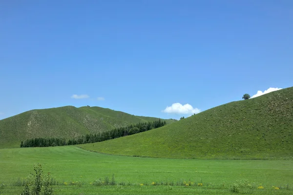 Pajiști Aer Hulunbeier în Mongolia Interioară — Fotografie, imagine de stoc