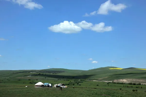 Aer hulunbeier otlakların İç Moğolistan yurt içinde — Stok fotoğraf