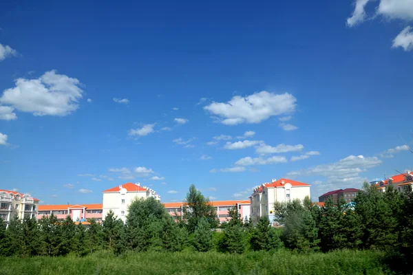 Binnen-Mongolië hulunbeier ewenki vlag — Stockfoto