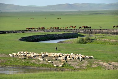 İç Moğolistan hulunbeier 