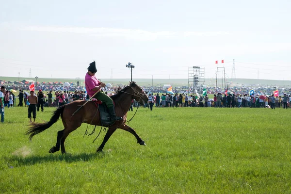 内蒙古呼伦贝尔草原马饮茶牧民将参加 naadam — 图库照片