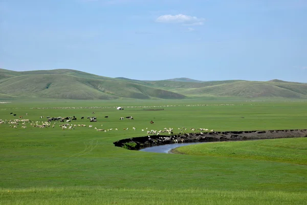 Mongolia Interior Hulunbeier "El primer Qushui de China" en mergel Horda de Oro Khan Tribus mongolas pastizales ribereños —  Fotos de Stock