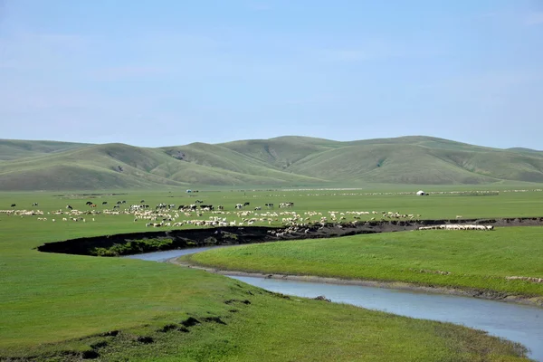 Mongolia Interior Hulunbeier "El primer Qushui de China" en mergel Horda de Oro Khan Tribus mongolas pastizales ribereños — Foto de Stock