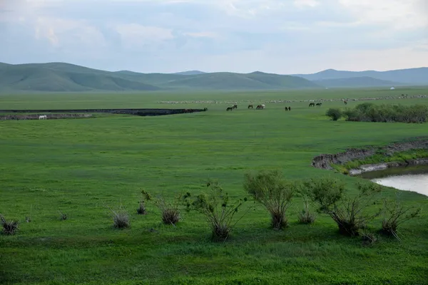 Mongólia Interior Hulunbeier "O primeiro Qushui da China" mergel River Horda Dourada Khan Tribos mongóis cavalos de estepe — Fotografia de Stock