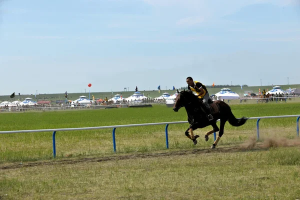 Mongolia Interior Hulunbeier CHENBAERHUQI Naadam correrá —  Fotos de Stock