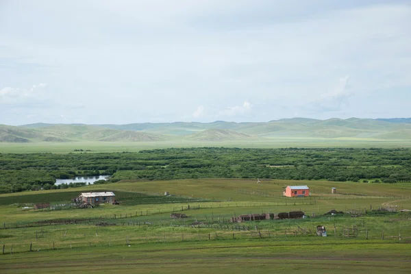 Inre Mongoliet hulunbeier förrut rot floden våtmarker — Stockfoto