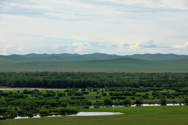 Binnen-Mongolië hulunbeier ergun wortel rivier wetlands — Stockfoto