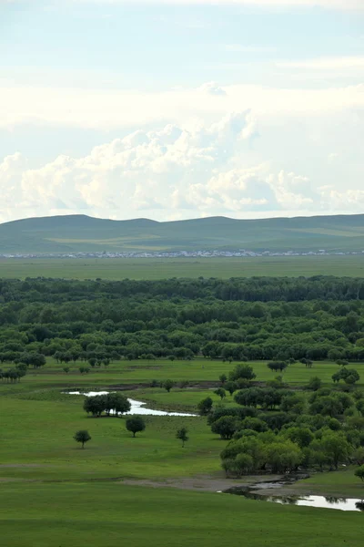 Binnen-Mongolië hulunbeier ergun wortel rivier wetlands — Stockfoto