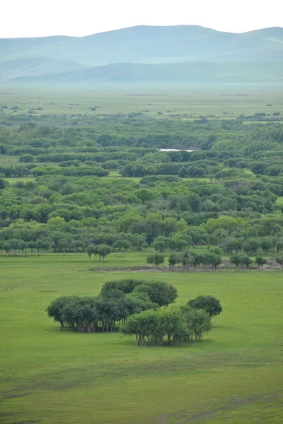 Inner Mongolia Hulunbeier Ergun Root River Wetlands — Stock Photo, Image