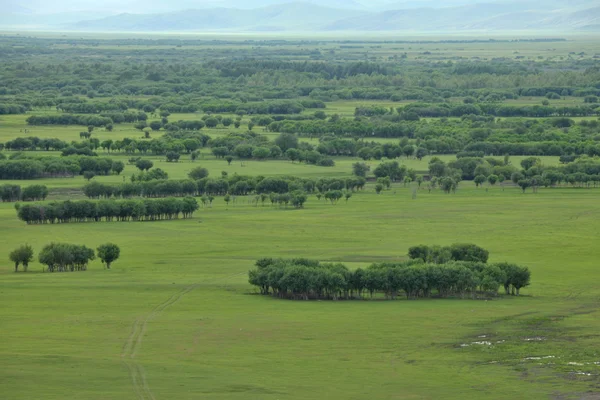 Внутренняя Монголия Hulunbeier Ergun Root River Wetlands — стоковое фото