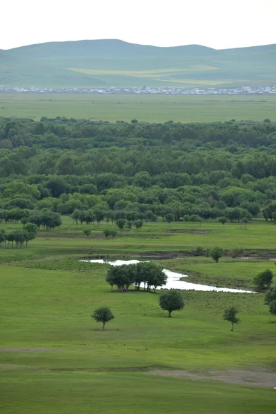 Inner Mongolia Hulunbeier Ergun Root River Wetlands — Stock Photo, Image