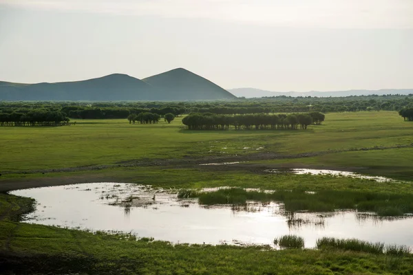 Inner Mongolia Hulunbeier Ergun Root River Wetlands — Stock Photo, Image