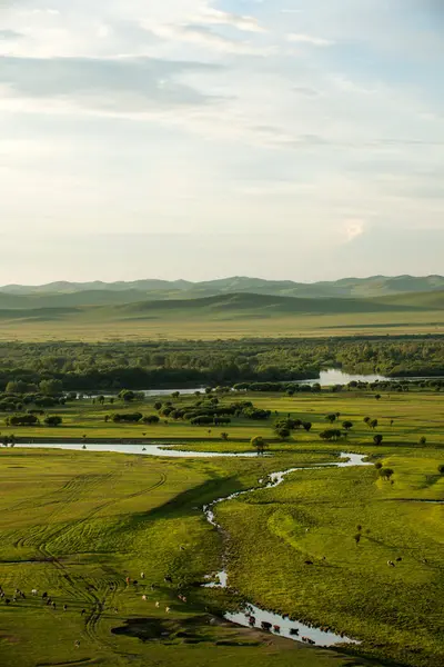 Inre Mongoliet hulunbeier förrut solnedgång rot floden våtmarker — Stockfoto